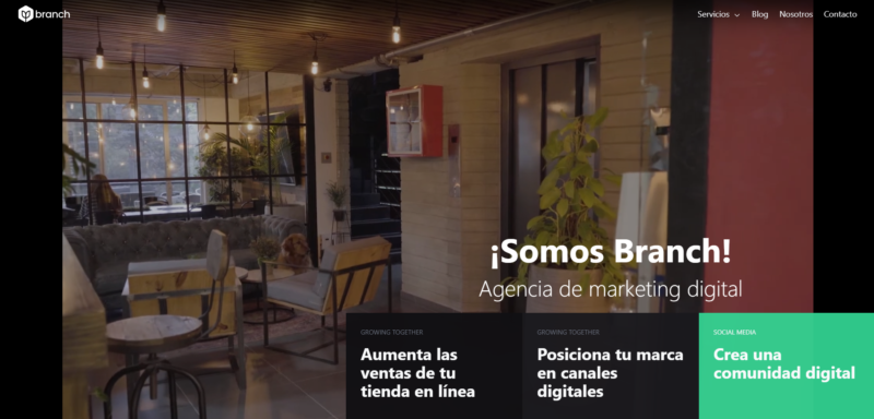 Agencias de desarrollo web Branch